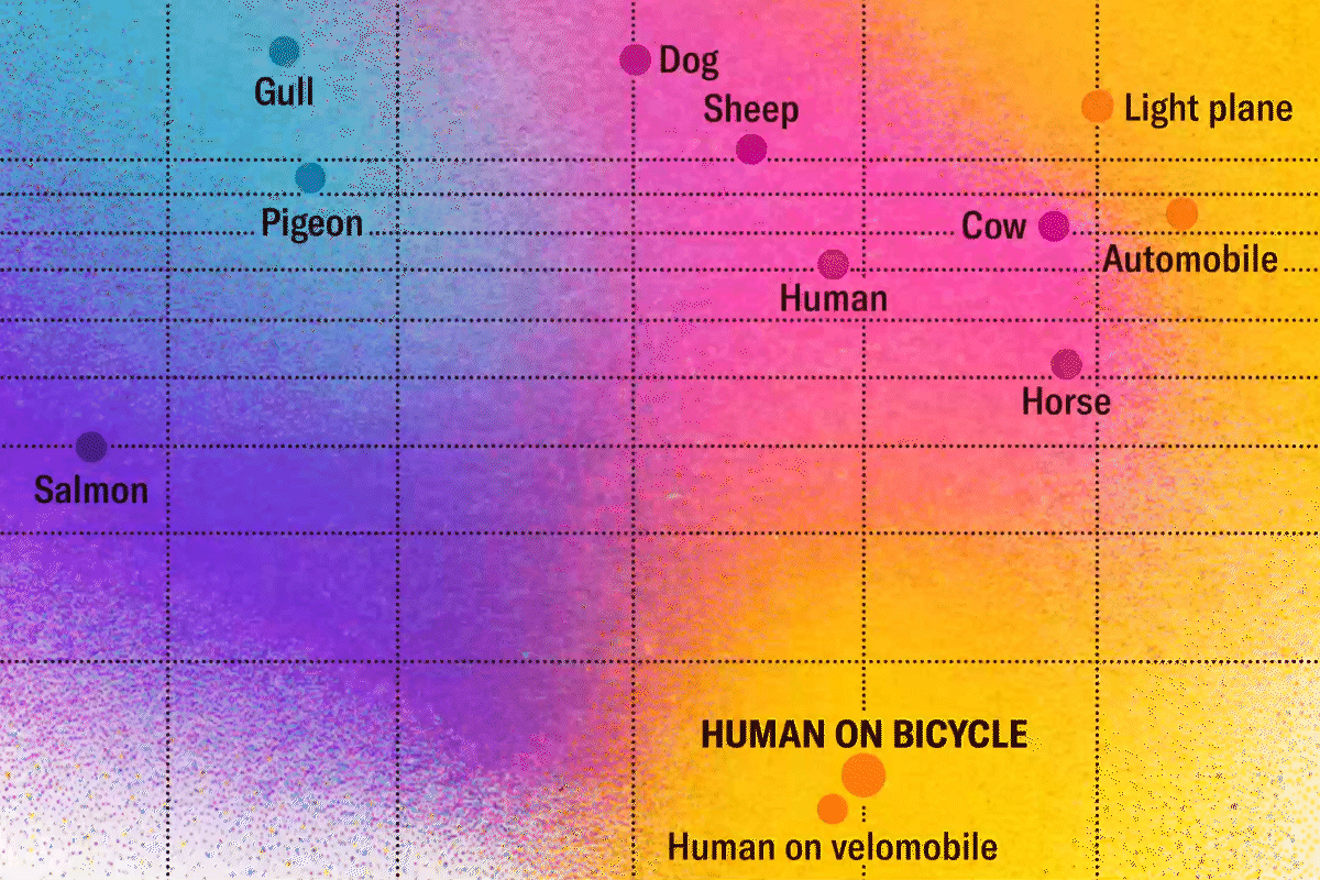 The Most Efficient Traveler Isn’t a Bird or a Fish—It’s You on a Bike