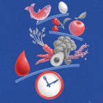 Can We Build a Pancreas? These Bioengineers Think We’re Almost There