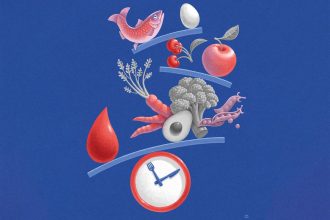 Can We Build a Pancreas? These Bioengineers Think We’re Almost There