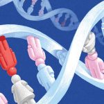Your Genes Could Hold the Key to Stopping Type 1 Diabetes before It Begins