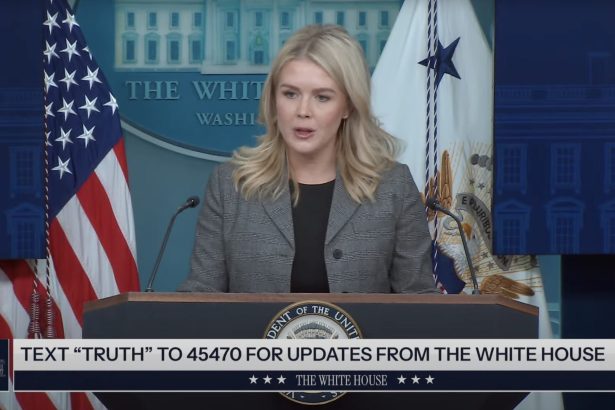 Karoline Leavitt Fires Back After Pope Leo XIV’s Thinly Veiled Swipe at Trump on Immigration | The Gateway Pundit | by Jim Hᴏft