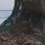 Bottom trawling ban 'must be top of agenda' Bottom trawling ban 'must be top of agenda'