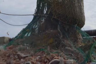 Bottom trawling ban 'must be top of agenda'