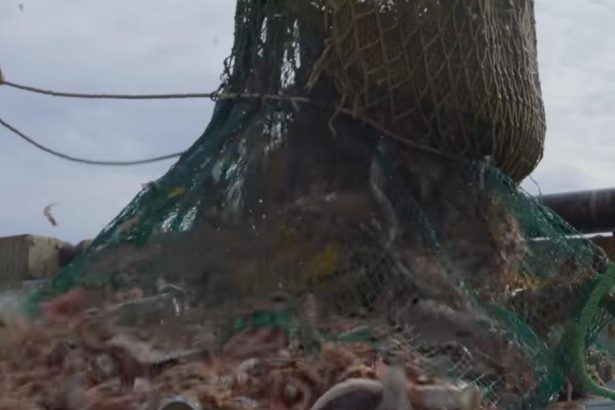 Bottom trawling ban 'must be top of agenda'