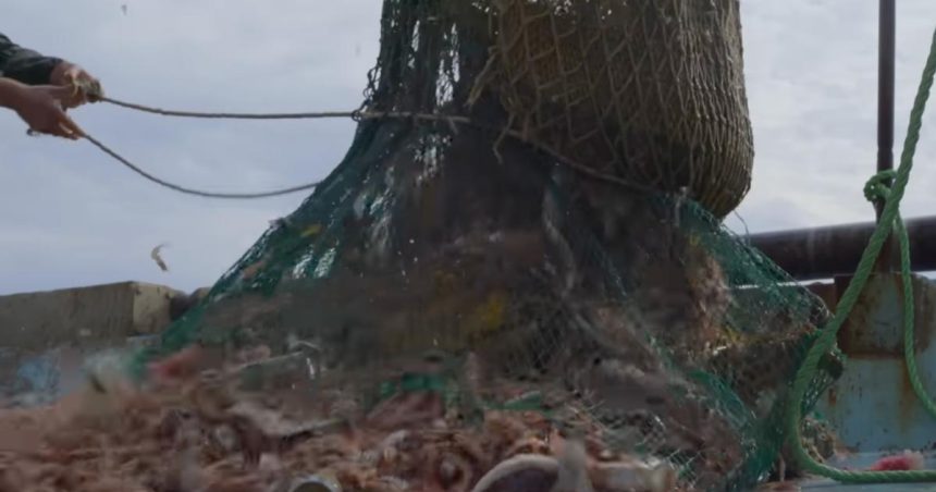 Bottom trawling ban 'must be top of agenda'