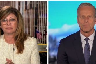 Senator John Thune Weighs in on Government Shutdown – “Democrats Just Need to Open Up the Government. Right Now, We Are at a Stalemate” (VIDEO) | The Gateway Pundit | by David Greyson