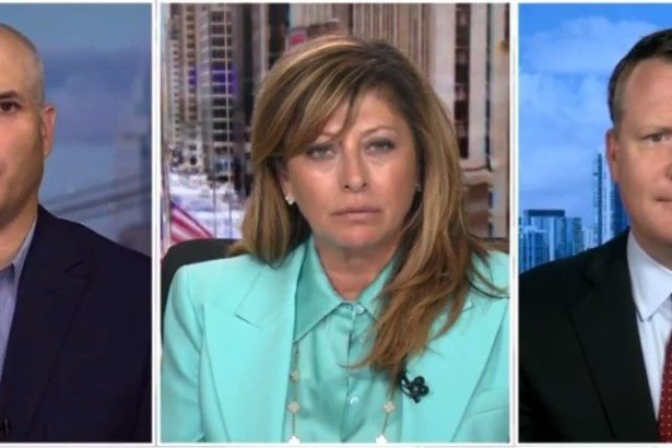 Mike Davis and Matt Taibbi Weigh in on Indictments of James Comey and Leticia James – “I Would Say to These Lawfare Democrats, Justice is Definitely Coming” (VIDEO) | The Gateway Pundit | by David Greyson