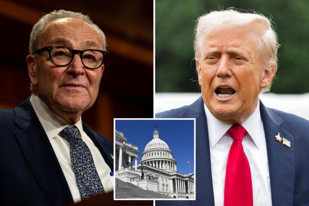 Senate Democrats reject latest effort to end government shutdown – as Trump signals he’s open to negotiating a healthcare deal 