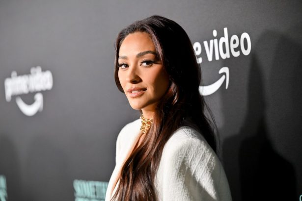 Shay Mitchell’s Favorite  Serum Transforms Unruly Hair