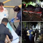 Disturbed Staten Island teen who allegedly decapitated mom’s boyfriend told sister ‘I did something bad’ when she arrived home to find him bloodied