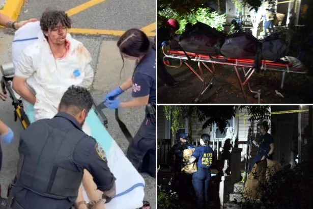 Disturbed Staten Island teen who allegedly decapitated mom’s boyfriend told sister ‘I did something bad’ when she arrived home to find him bloodied