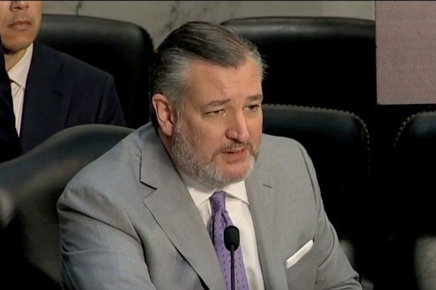 Ted Cruz mercilessly mocked for proclaiming, ‘Let’s stop attacking pedophiles’ in awkward slip-up