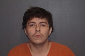 Pet owner forced driver who hit, killed his dog to dig dog’s grave a gunpoint: ‘I should shoot you know for it’