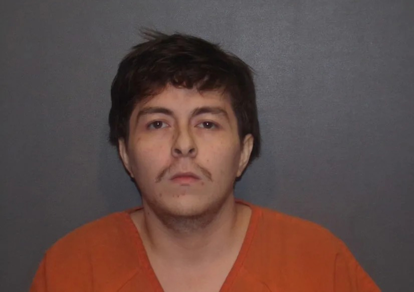 Pet owner forced driver who hit, killed his dog to dig dog’s grave a gunpoint: ‘I should shoot you know for it’