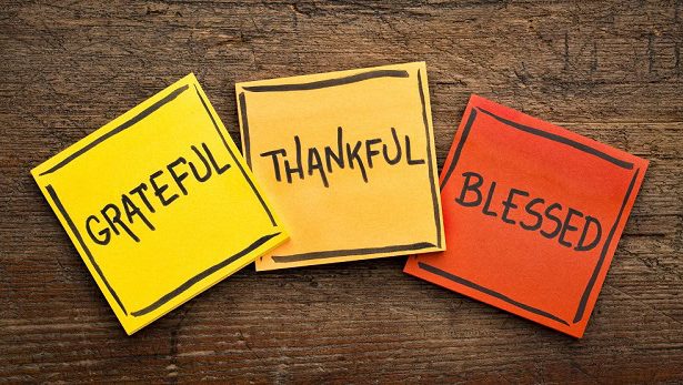 101 Thanksgiving Quotes for Work: Heartfelt Gratitude for Coworkers and Employees