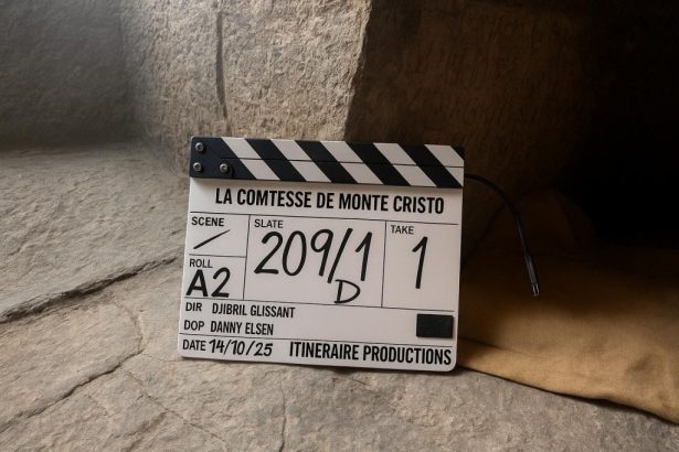 Netflix, TF1 Team on ‘The Countess of Monte Cristo’ With HPI’ Star Audrey Fleurot