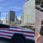 WATCH: Vile Woman Caught on Camera Smearing Dog Feces on Patriotic Trump-Themed Cybertruck in Chicago | The Gateway Pundit | by Cassandra MacDonald