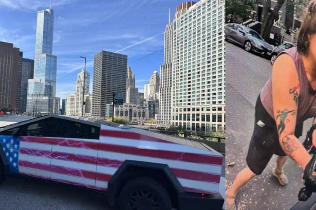 WATCH: Vile Woman Caught on Camera Smearing Dog Feces on Patriotic Trump-Themed Cybertruck in Chicago | The Gateway Pundit | by Cassandra MacDonald