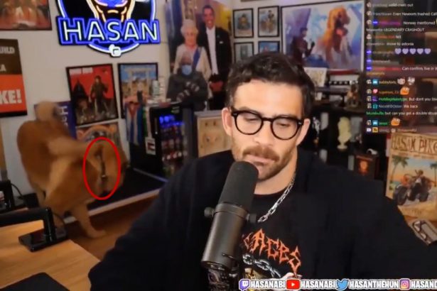 Lefty Twitch streamer Hasan Piker accused of activating his dog’s ‘shock collar’ in viral clip