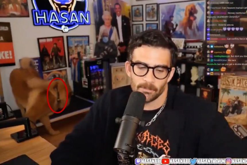 Lefty Twitch streamer Hasan Piker accused of activating his dog’s ‘shock collar’ in viral clip
