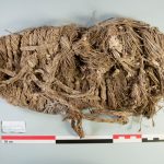 Ancient Vulture Nests Reveal 600 Years of Human History—Including 25 Shoes Ancient Vulture Nests Reveal 600 Years of Human History—Including 25 Shoes