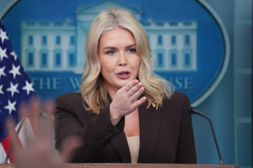Trump appealing ruling against Portland National Guard deployment, judge ‘untethered in reality’: White House