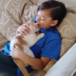Arizona boy, 9, makes huge sacrifice to save kitten tossed by older kids like a football Arizona boy, 9, makes huge sacrifice to save kitten tossed by older kids like a football