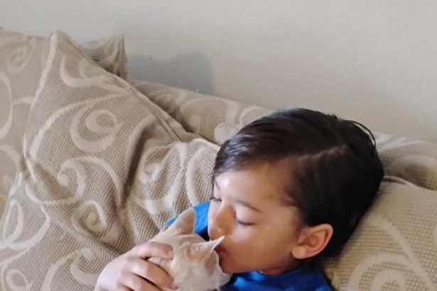 Arizona boy, 9, makes huge sacrifice to save kitten tossed by older kids like a football