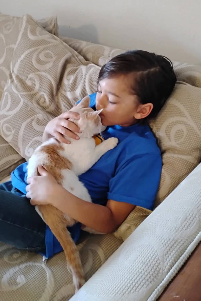Arizona boy, 9, makes huge sacrifice to save kitten tossed by older kids like a football Arizona boy, 9, makes huge sacrifice to save kitten tossed by older kids like a football