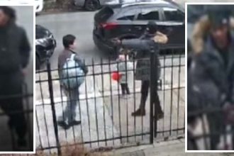 ,000 reward for thugs who carjacked man in front of a child on Halloween