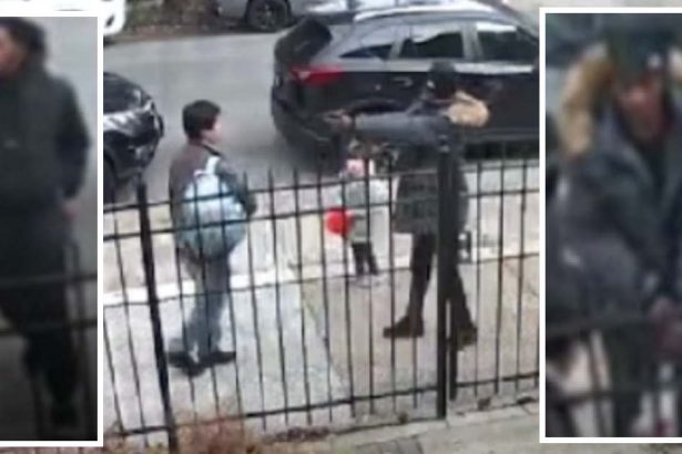 ,000 reward for thugs who carjacked man in front of a child on Halloween