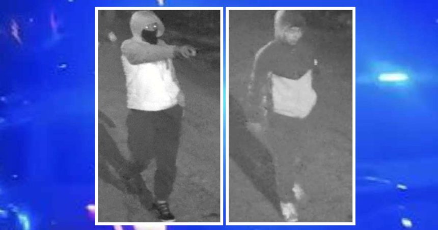 15-year-old girl sexually assaulted at gunpoint in North Side alley, second teen held at knifepoint