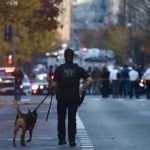 2 National Guard members shot in ‘targeted’ attack in D.C., authorities say : NPR