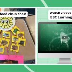 25 Fun Food Web and Food Chain Activities
