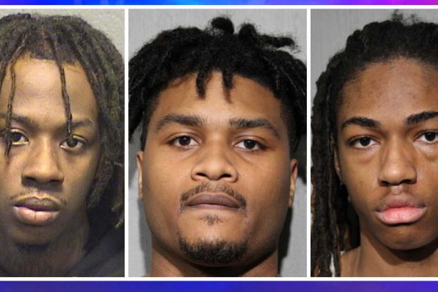3 men charged with having guns during large crowd takeover in the Loop