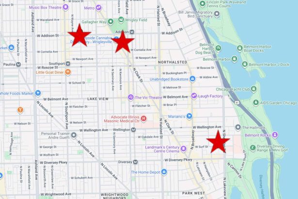 4 more people robbed at gunpoint in Lakeview East, bolstering concerns about surging holdup sprees