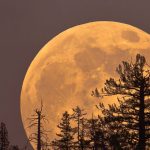 Here’s How the November Supermoon Will Affect Every Zodiac Sign