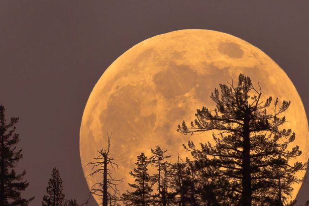 Here’s How the November Supermoon Will Affect Every Zodiac Sign