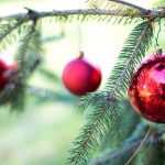 8 Ways to Have the Greenest Christmas Tree