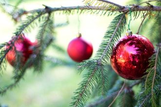8 Ways to Have the Greenest Christmas Tree