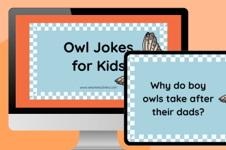 80 Owl Jokes That Are a Hoot