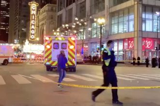 9 people, mostly children, shot as holiday crowd turns violent in the Loop; 1 dead