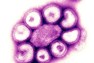 A New More Severe Flu Variant Is Spreading In The U.S. Here’s What To Know