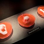 A fascinatingly grisly guide to replacing and repairing body parts