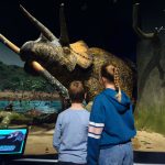 A new dinosaur doomsday exhibit showcases survival after destruction