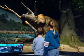 A new dinosaur doomsday exhibit showcases survival after destruction