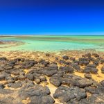 AI Uncovers Oldest-Ever Molecular Evidence of Photosynthesis