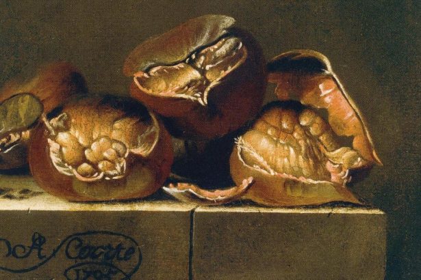 From Dior Invitations to Dolomite Spa Treatments, Chestnuts Are So Back