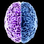 Aging Scrambles Brain Proteins – And Diet Could Partly Reverse It : ScienceAlert