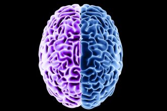 Aging Scrambles Brain Proteins – And Diet Could Partly Reverse It : ScienceAlert